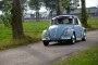 Thumbs/tn_Aircooled Bergharen 2016 232.jpg